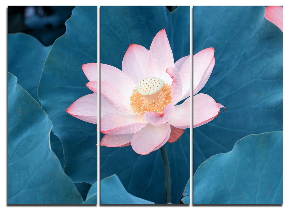 "Blooming Pink Lotus Flower" Oversized Beach Metal Wall Art, 3 Panels, 36"x28"