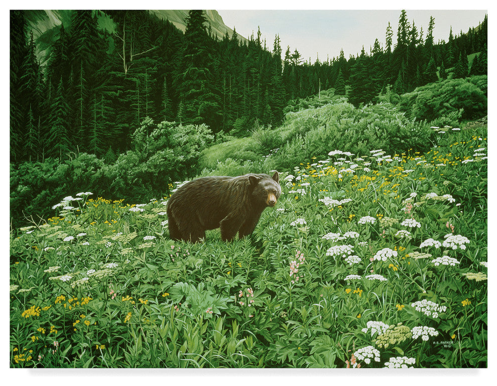 Ron Parker 'Old Man Of The Mountain Black Bear' Canvas Art, 19"x14"