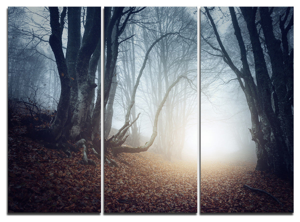 "Magical Trees in Mysterious Forest" Forest Metal Wall Art, 3 Panels, 36"x28"