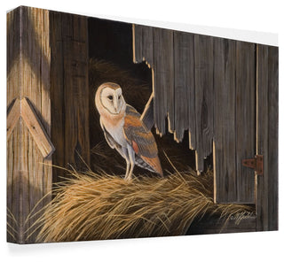Wilhelm Goebel 'Ready For The Hunt Barn Owl' Canvas Art, 47"x30"