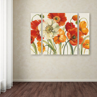 Lisa Audit 'Poppies Melody I' Multi Panel Art Set,, 41"x30"