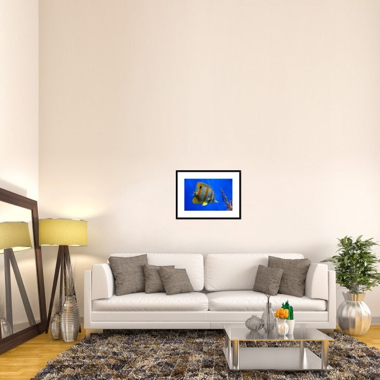 "Tropical Beauty" Framed Digital Print by Jan Lykke, 30x22"