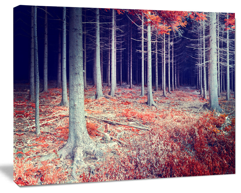 Beautiful Fall Forest Panorama, Landscape Canvas Art Print, 40"x30"