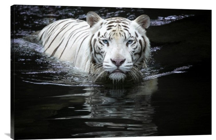 "Looking At Me Looking At You" Stretched Canvas Giclee by Renee Doyle, 30"x20"