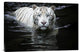"Looking At Me Looking At You" Stretched Canvas Giclee by Renee Doyle, 30"x20"