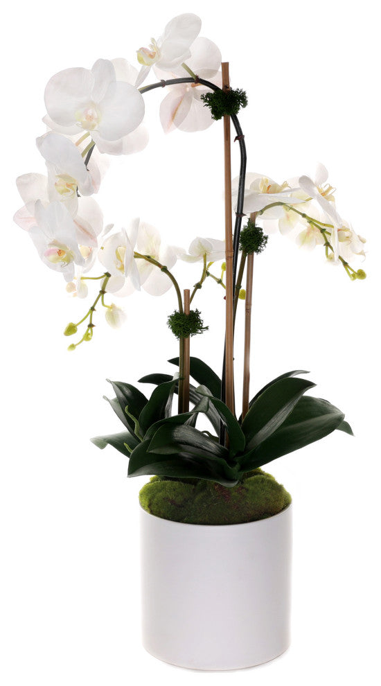 Real Touch Phalaenopsis Orchids, White Cylinder Pot