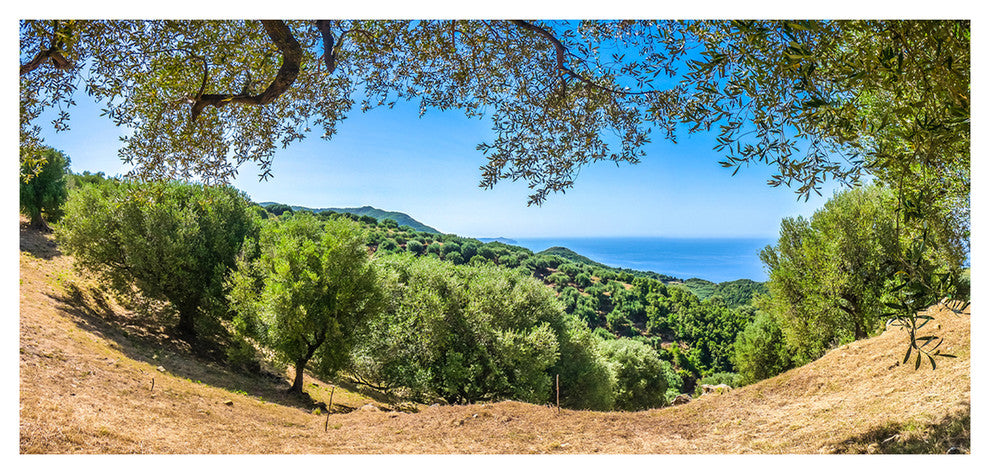 Cilentan Coast Campania Italy, Landscape Canvas Art Print, 60"x28"