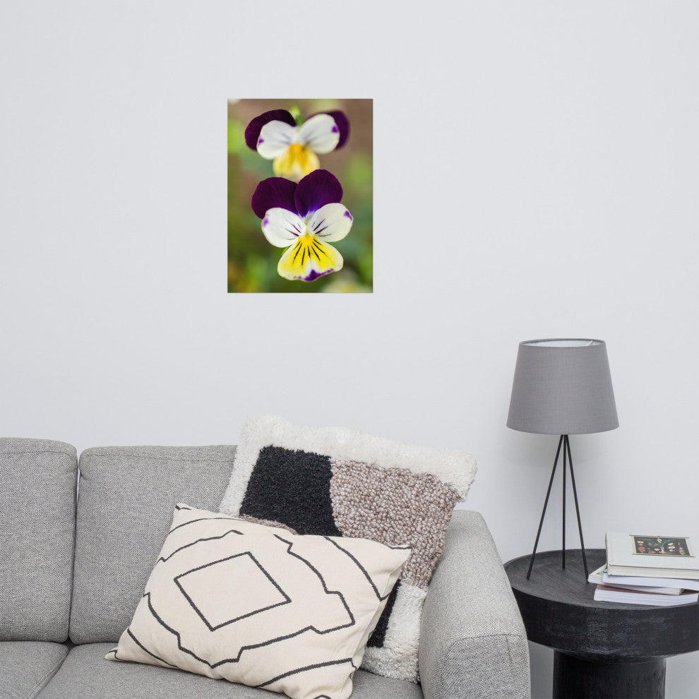 Pretty Little Violets Floral / Botanical Photograph Unframed Wall Art Prints, 18" X 24"