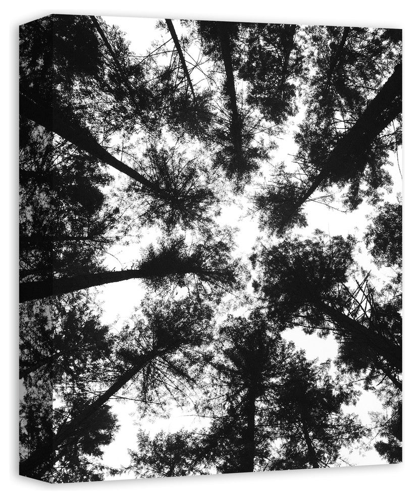 Black and White Tree Lookup Print on Canvas