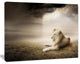 King of Animals At Sunset, Animal Canvas Wall Art, 20"x12"
