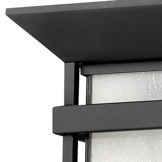 Hinkley Lighting 2573 2 Light Outdoor Flush Mount Ceiling Fixture - Satin Black