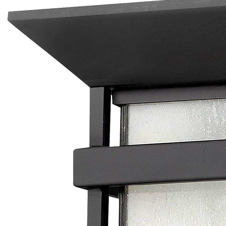 Hinkley Lighting 2573 2 Light Outdoor Flush Mount Ceiling Fixture - Satin Black