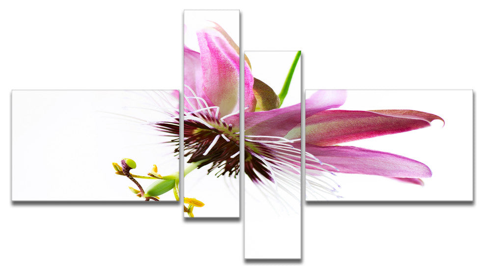 Passiflora Flower over White, Large Animal Canvas Art Print, 60"x32", 4 panels