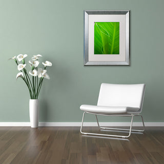 PIPA Fine Art 'Leaves Canna Lily' Matted Framed Art, 20x16
