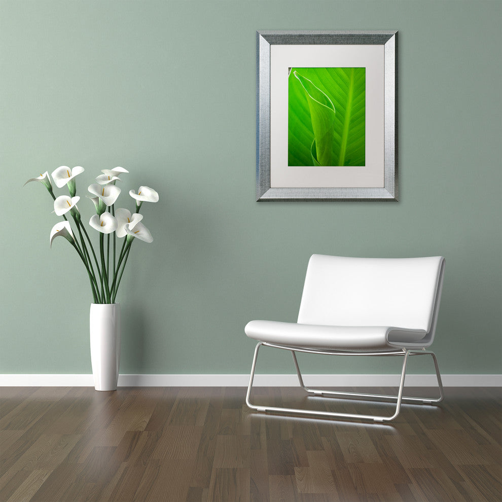 PIPA Fine Art 'Leaves Canna Lily' Matted Framed Art, 20x16