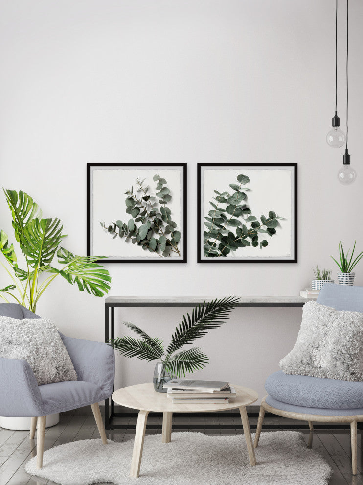 Eucalyptus Bloom Diptych, 2-Piece Set, 12x12 Panels