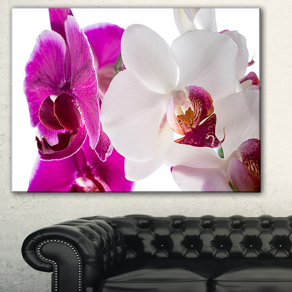"Blooming Orchid Flowers" Digital Canvas Print, 40"x20"