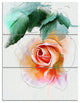 Beautiful Red Rose with Leaves, Floral Triptych Canvas Print, 28x36, 3 Panels