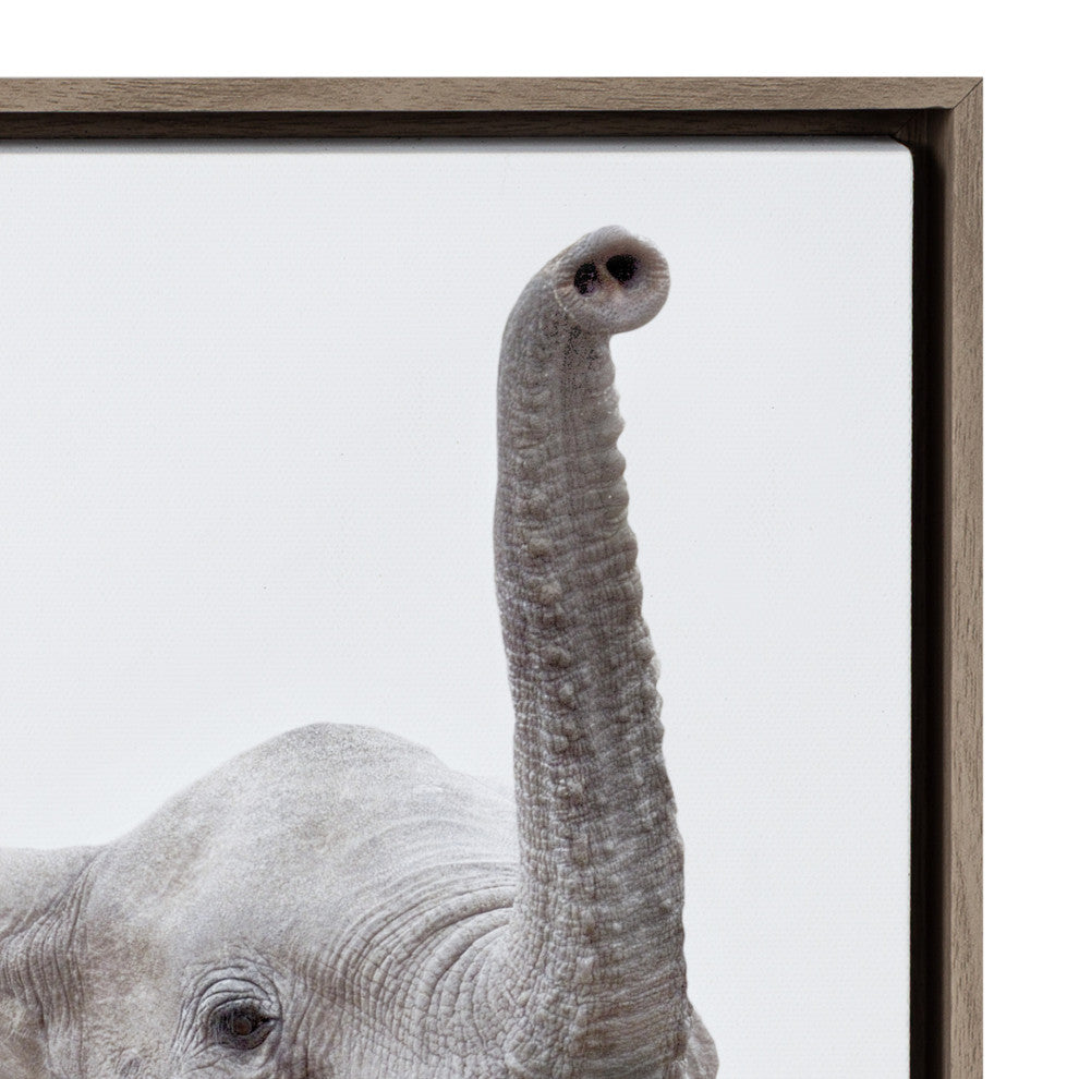 Sylvie Safari Animal Framed Canvas Art by Amy Peterson, Thin Gray 6 Piece 13x13