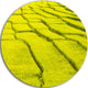 Rice Field View, Landscape Photography Disc Metal Wall Art, 23"