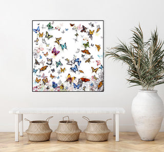 "Papillon" Framed Canvas by Giant Art 20"x20"