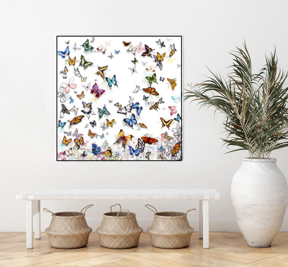 "Papillon" Framed Canvas by Giant Art 20"x20"