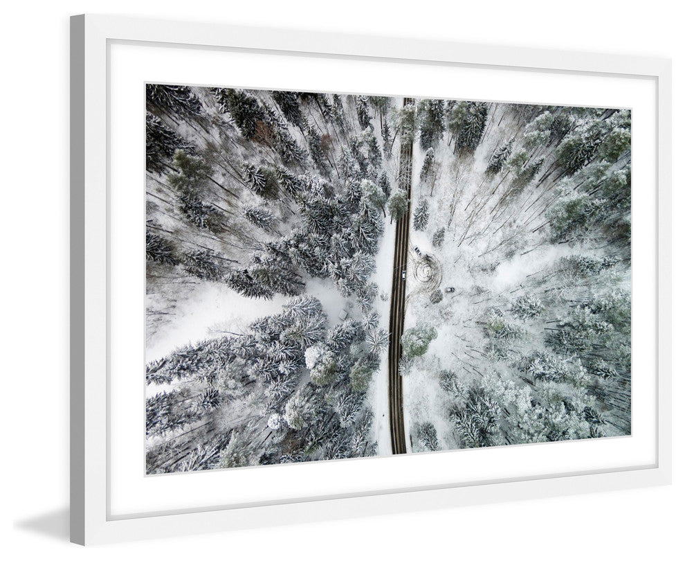 "Amid The Cold" Framed Print by Karolis Janulis