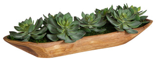 Uttermost Yuma Succulent Centerpieces