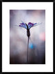 "Sylvidra" Framed Digital Print by Fabien Bravin, 22x30"