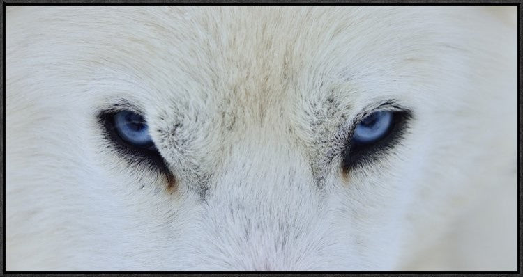 Mirada Azul, 36"x18"