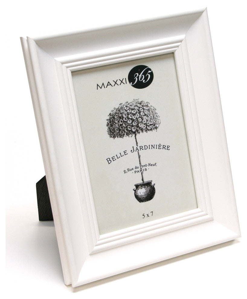 Maxxi 365 And Essentials Frame, White, 4"x6"