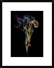 "Burning Spoon Ii" Framed Digital Print by Aida Ianeva, 20"x24"