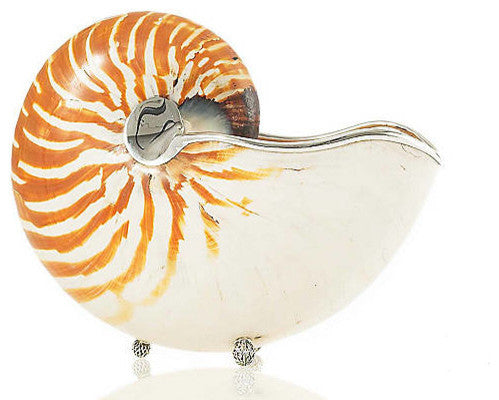 Large Tiger Nautilus with Sterling Silver Trim and Basket Weave Supports