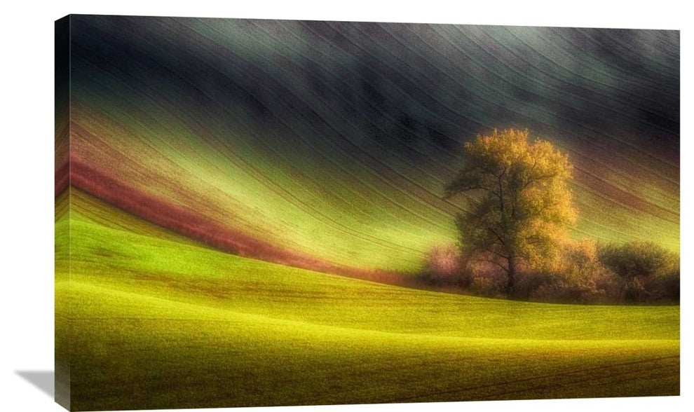 "Moravian Fields" Stretched Canvas Giclee by Piotr (Bax) Krol, 36x23"