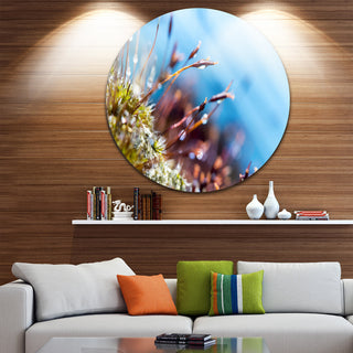 Abstract Moss Flowers In Summer Spring, Landscape Disc Artwork, 36"