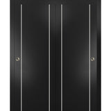 Bypass Doors 56 x 96 | Planum 0410 Matte Black with  | Sturdy Rails