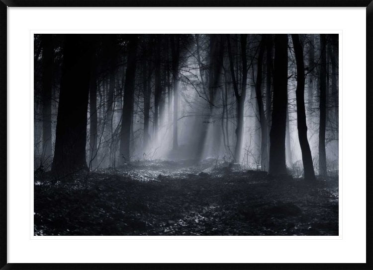 "Capela Forest" Framed Digital Print by Julien Oncete, 44x32"