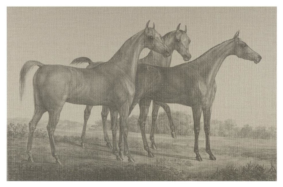 Three Horses Gallery