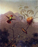 Martin Johnson Heade Tufted Coquette - 20" x 25" Premium Canvas Print