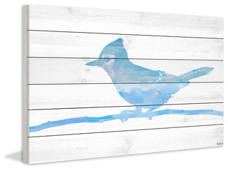 "Snow Jay" Print on White Wood, 45"x30"