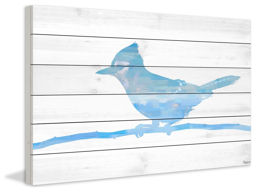 "Snow Jay" Print on White Wood, 45"x30"