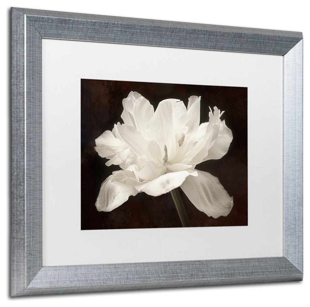 Cora Niele 'White Tulip I' Matted Framed Art