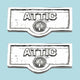 2 Switch Plate Tags ATTIC Name Signs Labels Chrome Brass |