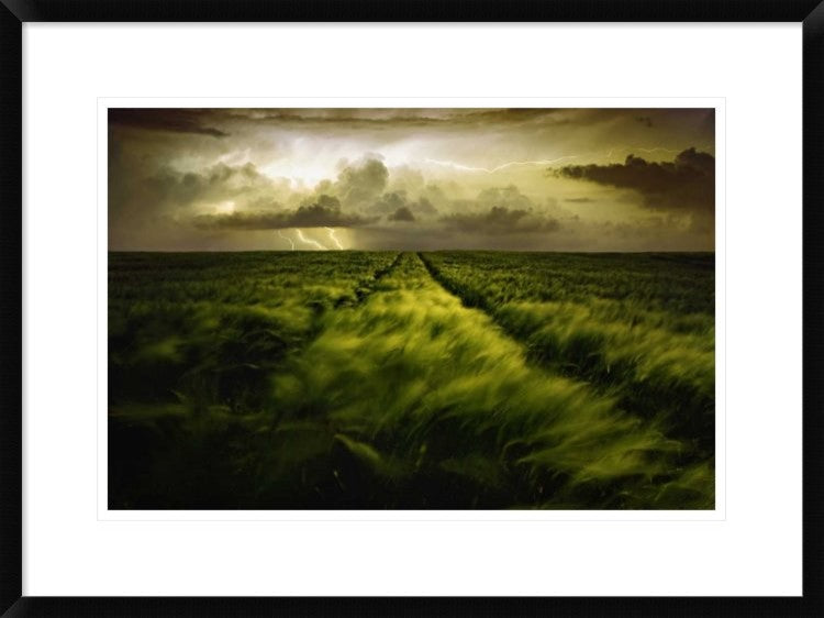 "Journey To The Fierce Storm" Framed Digital Print by Sona Buchelova, 30x22"