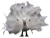 Regal Peacock Bird With Open Tail Feathers Christmas Decoration, White, 9"