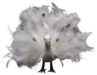 Regal Peacock Bird With Open Tail Feathers Christmas Decoration, White, 9"