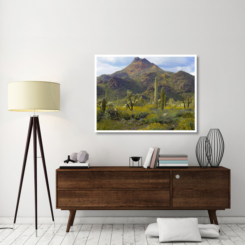 "Saguaro/Teddybear Cholla, Lupine/California Brittlebush" Paper Art, 50"x38"