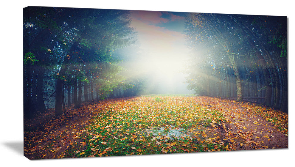 "Rising Sun Over Arched Forest" Landscape Photo Wall Art, 40"x20"