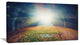 "Rising Sun Over Arched Forest" Landscape Photo Wall Art, 40"x20"