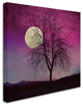 Tina Lavoie 'Pink Twilight' Canvas Art, 18" x 18"